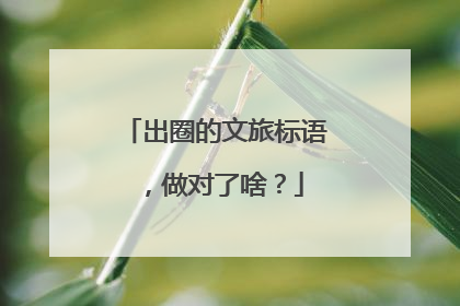 出圈的文旅标语，做对了啥？